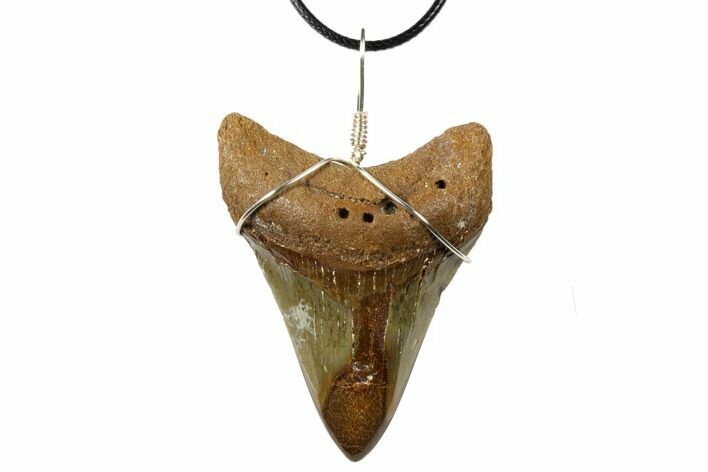 Fossil Megalodon Tooth Necklace #130987